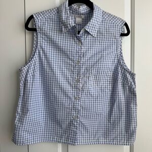 COTN Collection 100% Pima Cotton Gingham Sleeveless Top - Blue/White